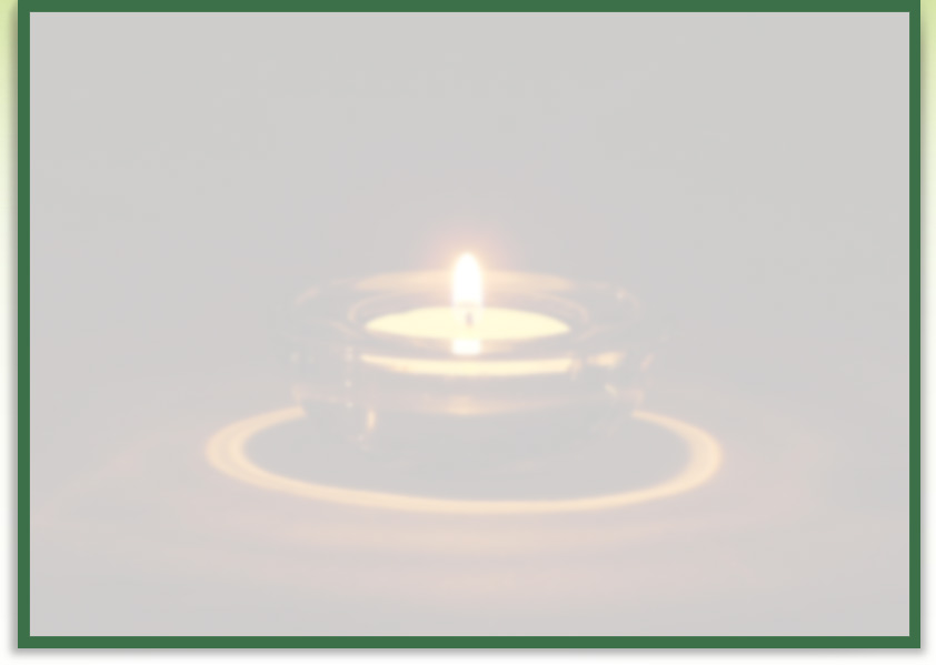 Wellness Candles - Order real soy candles online