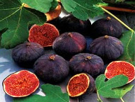 Christmas / Holiday: Holiday Fig and Spice
