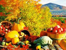 Fall / Holiday: Fall Harvest