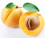 Fruits: Apricot
