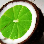 Fruits: Coconut Lime Verbena